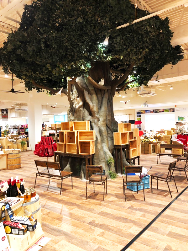 BIOTOPIA【ビオトピア】本棚