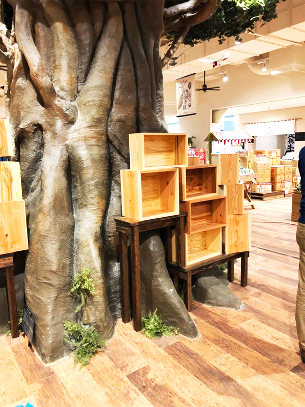 BIOTOPIA【ビオトピア】本棚