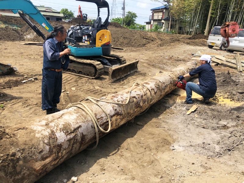 思い出もくもく企画:宅地造成で伐採した木【伐採】