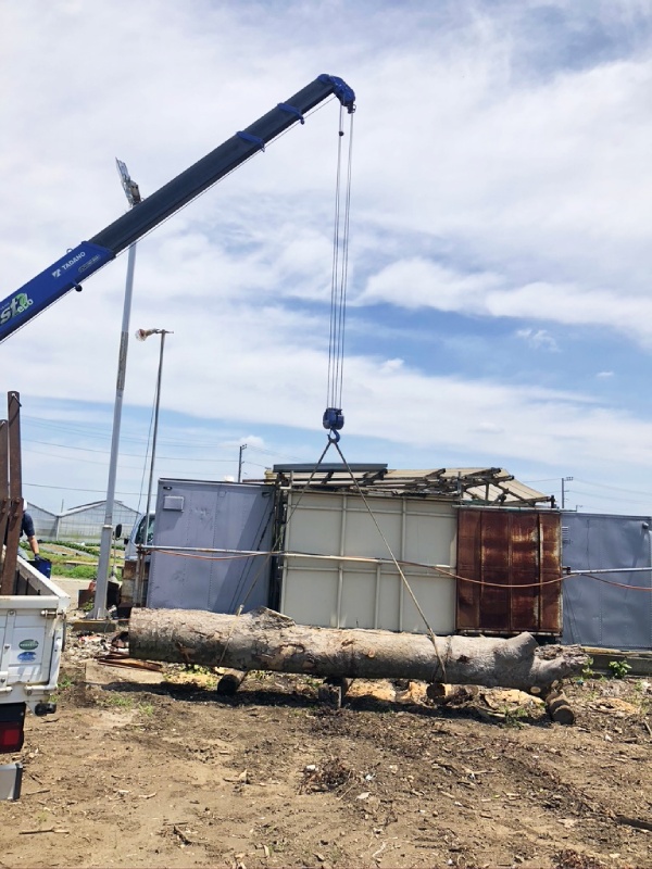 思い出もくもく企画:宅地造成で伐採した木【伐採】