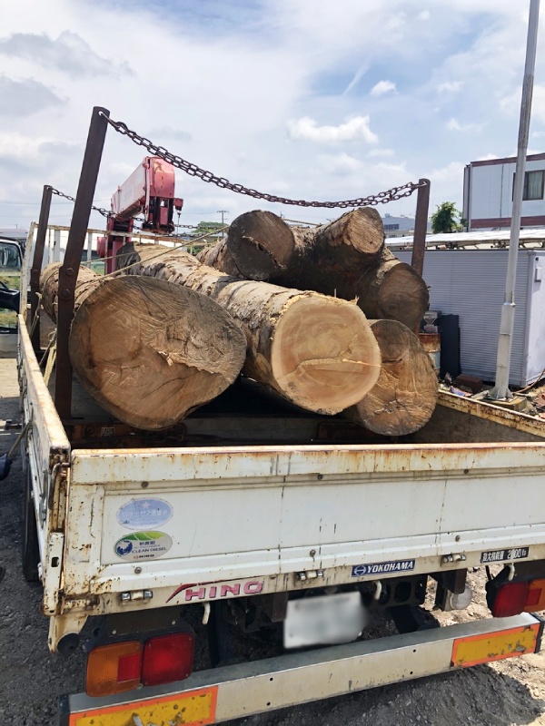 思い出もくもく企画:宅地造成で伐採した木【伐採】