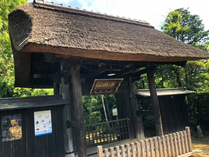 思い出もくもく企画:鎌倉 常楽寺さんのビャクシン【伐採】