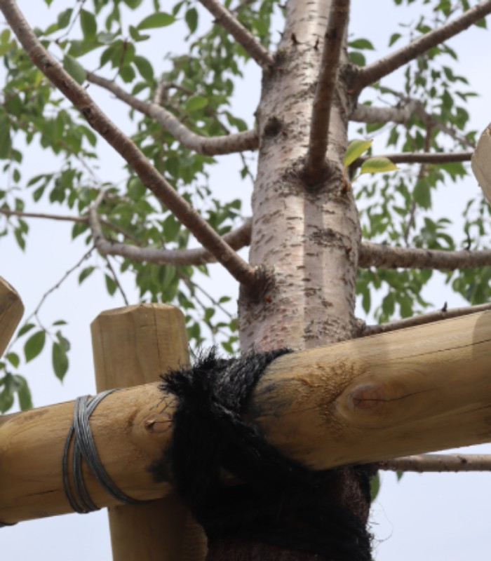 小田原市立酒匂小学校の標柱を作製