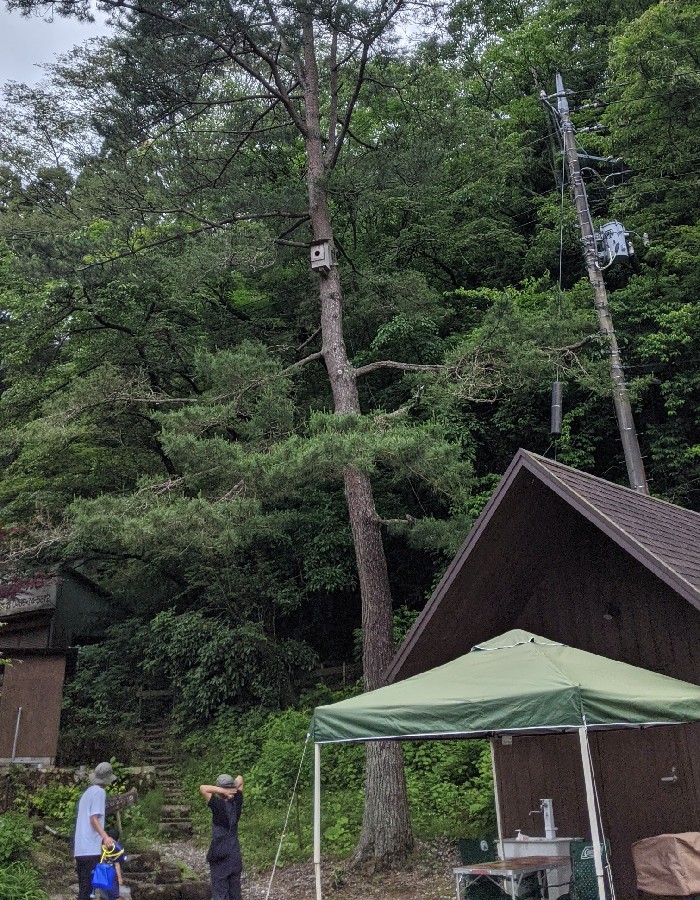 sotosotodaysCAMPGROUNDS