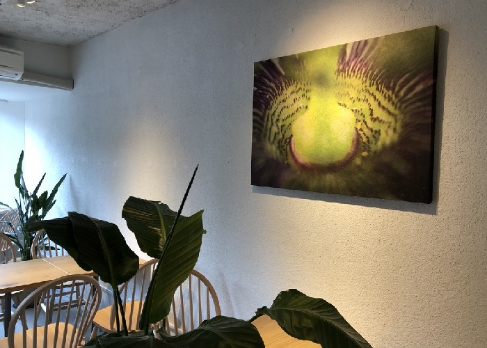 バリ在中の写真家