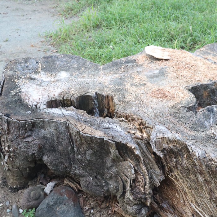 大友八幡神社の返礼品を製作