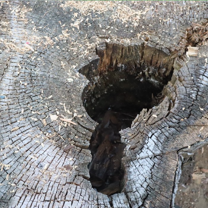 大友八幡神社の返礼品を製作