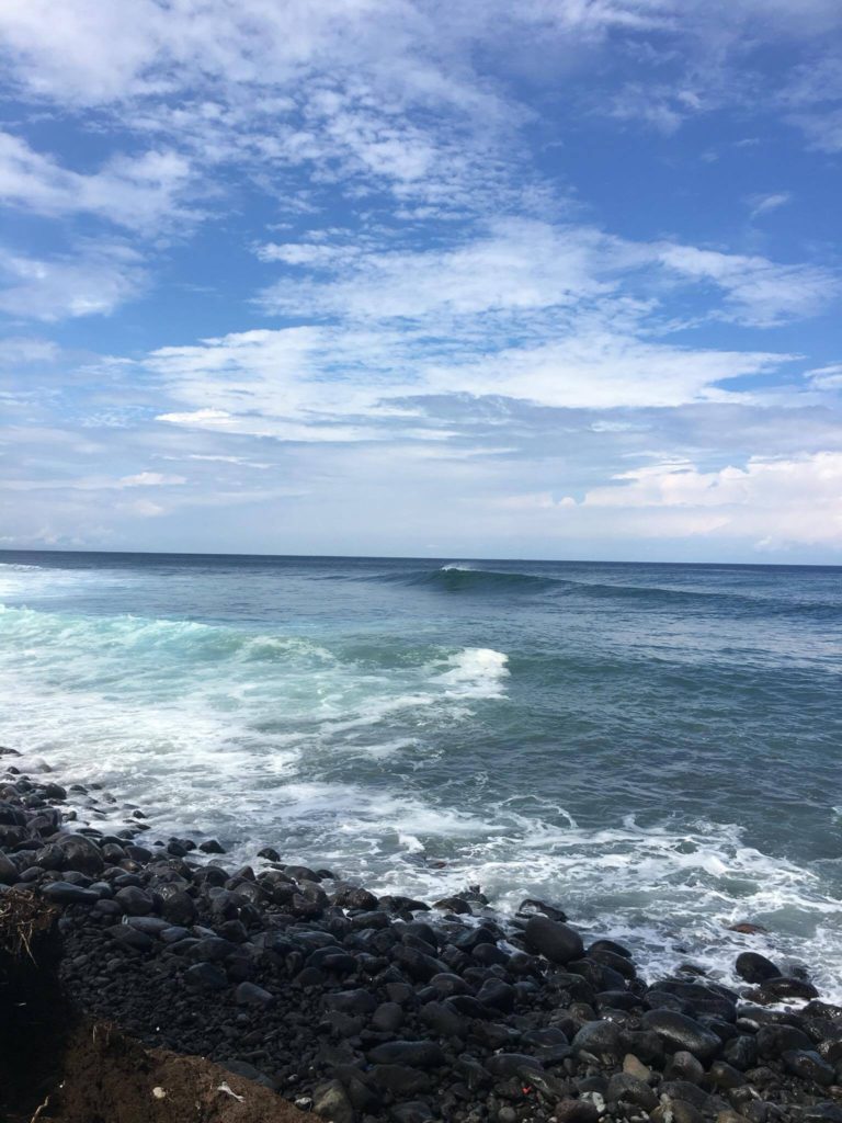 JTB商事さんのカタログに掲載されました