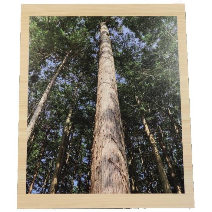 これまでに作った看板を紹介