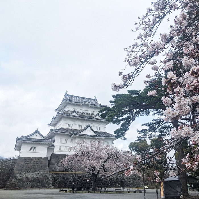小田原城の常盤木門金属プレートの製作