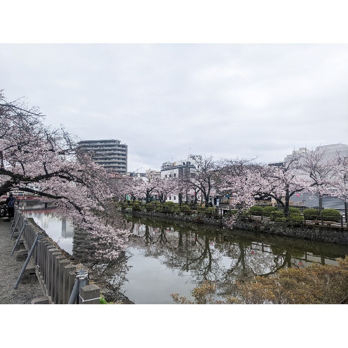 小田原城の常盤木門金属プレートの製作