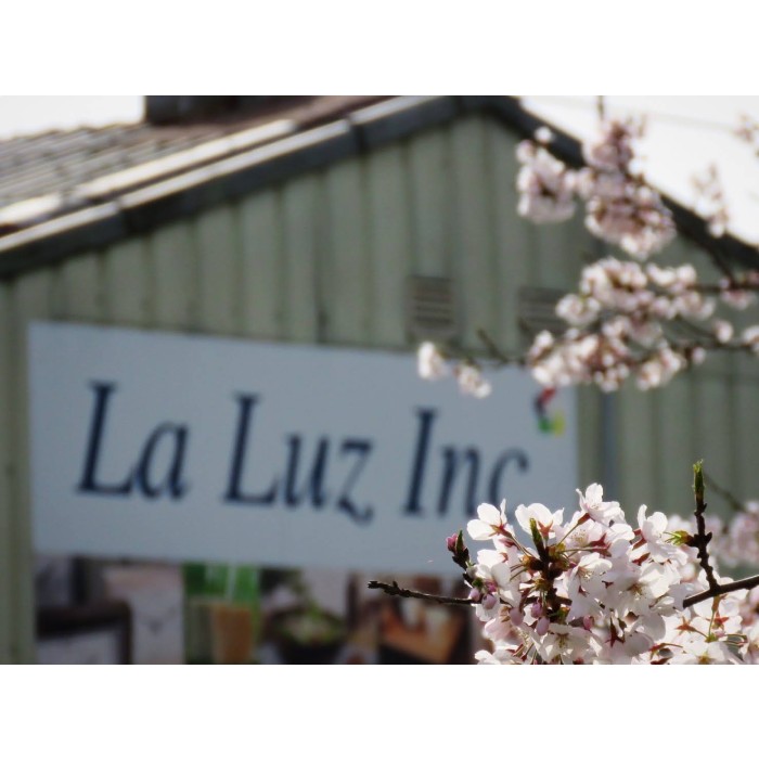 魚藤さん　お寿司プレートの製作