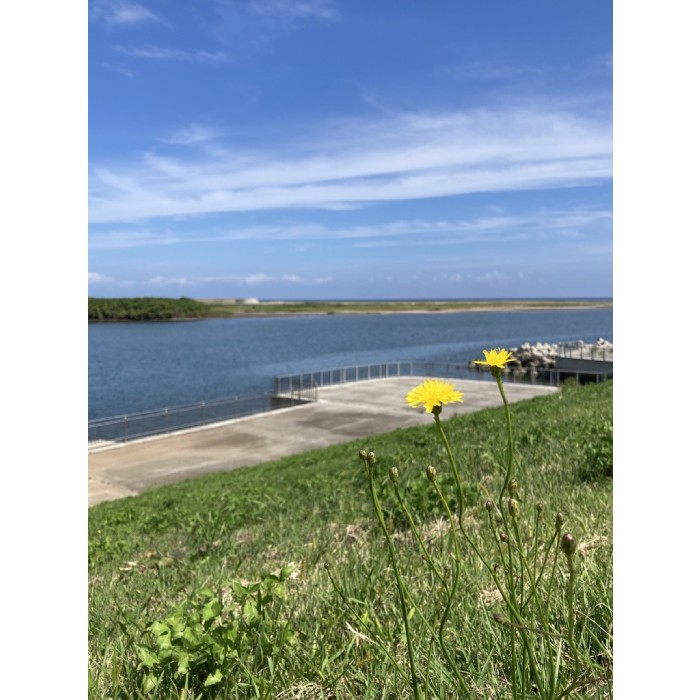 相馬の旅　木製ポストのその後…