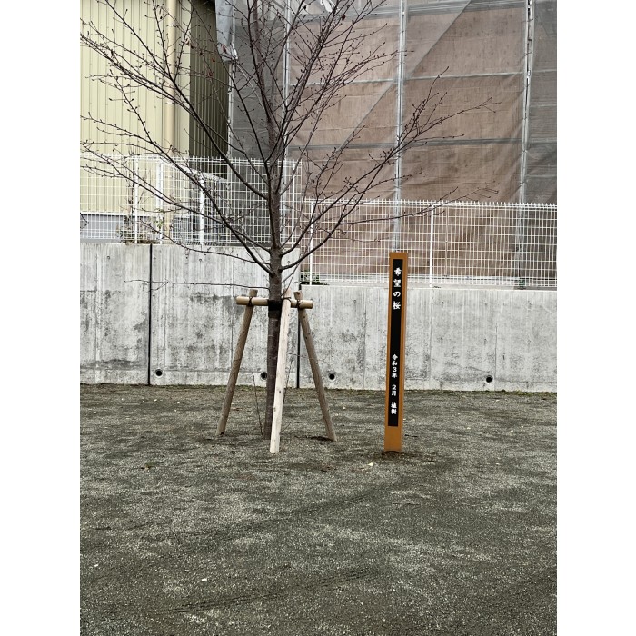 【OEM】酒匂小学校のその後・・・　