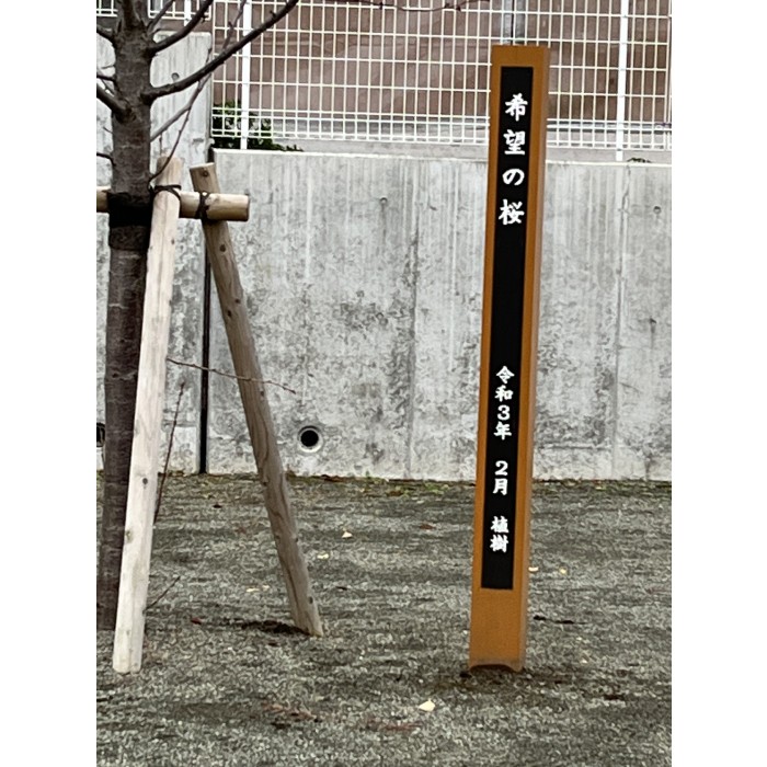 【OEM】酒匂小学校のその後・・・　