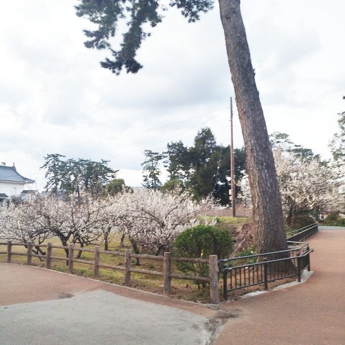 【OEM】小田原城の常盤木門金属プレートの製作