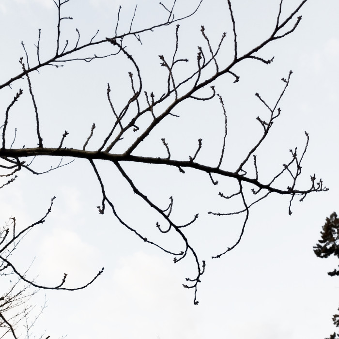 【OEM】小田原城の常盤木門金属プレートの製作